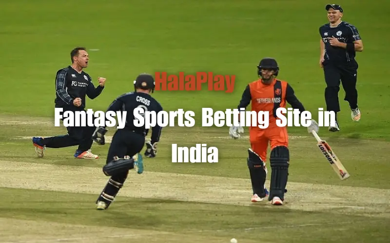 live cricket score today